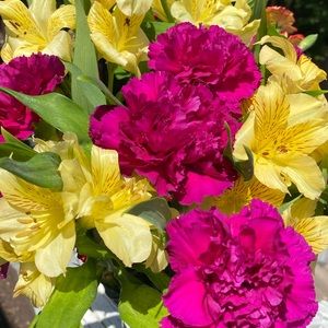 Meet your Posher, Taylor